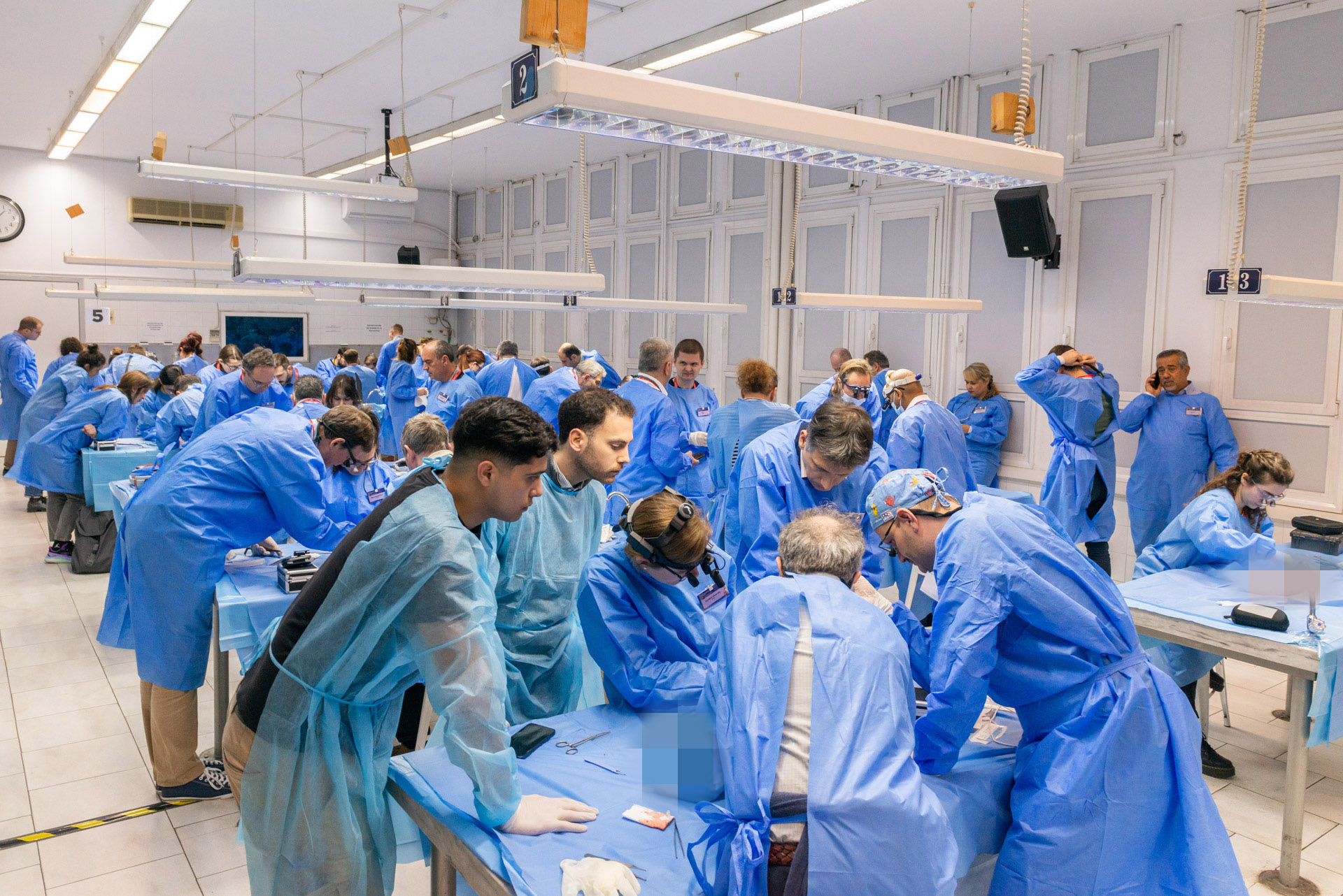 TNT Seminar in the cadaveric lab